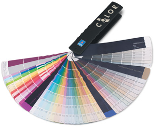 Paint Deck for creating a color palette www.PattersonDecoratingGroup.com